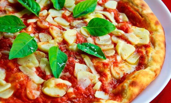 Free Stock Photo of Mushroom Pizza