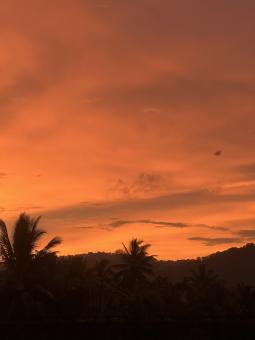 Free Stock Photo of Golden Sky at Dusk