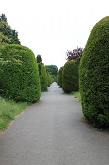 Path - Free Stock Photo