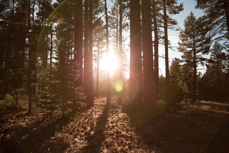 Free stock image of Bright created by Life of Pix