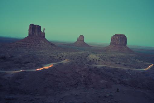 Desert Life - Free Stock Photo