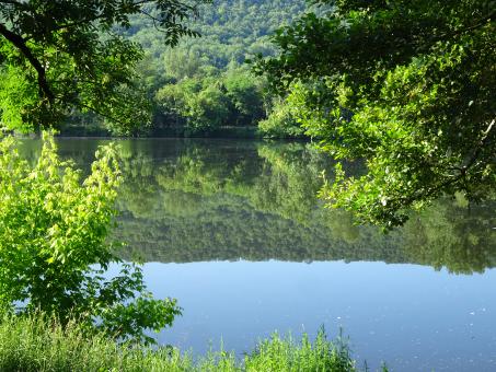 Free Stock Photo of Gorgeous reflections on a quit lake