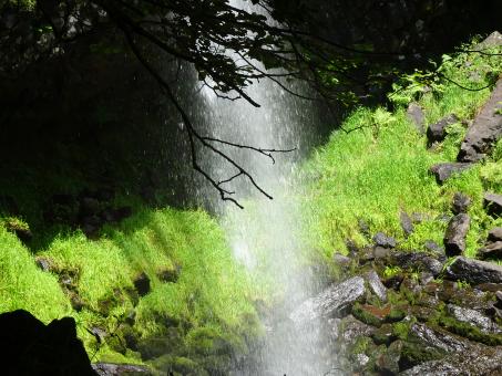 Free Stock Photo of Waterfall make a 