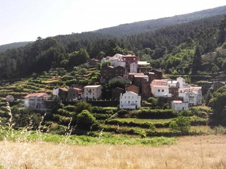 Vasco Esteves de Cima - Free Stock Photo