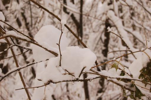 Free Stock Photo of And now we're truly isolated