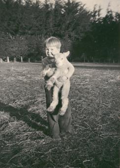 Free Stock Photo of Lamb at Taitapu