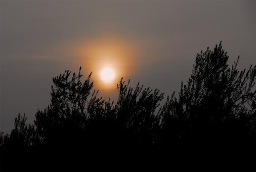 Free Stock Photo of Sun Peering Through the Fog