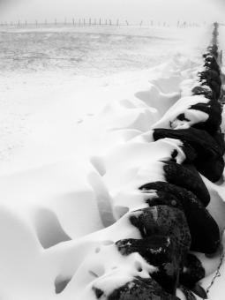 Free Stock Photo of After the blizzard II