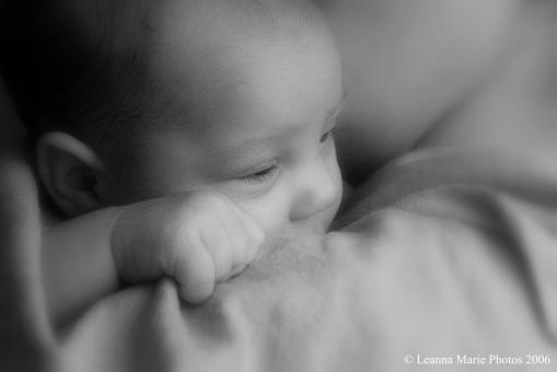 Free Stock Photo of Perfect Moment