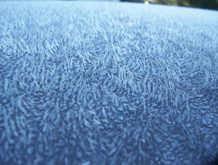 Free Stock Photo of Frost