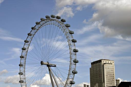 Free Stock Photo of Longon Eye