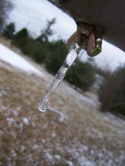 Free Stock Photo of Little icicle