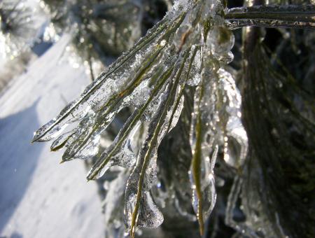 Free Stock Photo of Icicle blue
