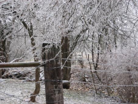 Free Stock Photo of Winter landscape