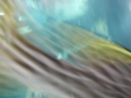 Free Stock Photo of Aquarium Abstract Background
