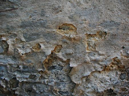 Free Stock Photo of Concrete texture