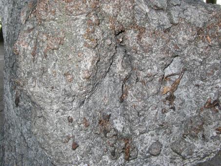 Free Stock Photo of Stone texture