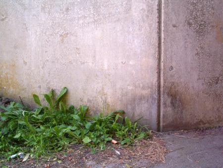Free Stock Photo of Wall texture