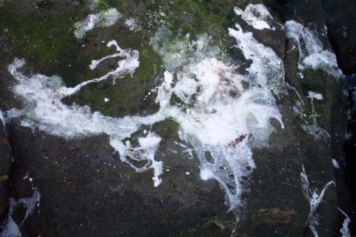 Free Stock Photo of White goo on rock