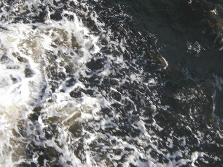 Free Stock Photo of Busy Sea Water