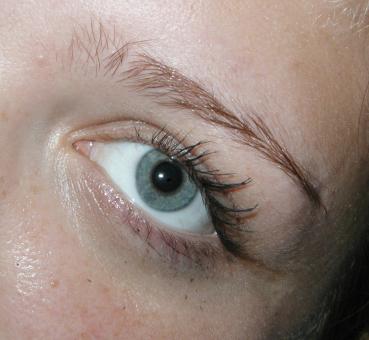Free Stock Photo of Eye