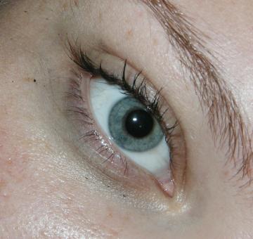 Free Stock Photo of Eye