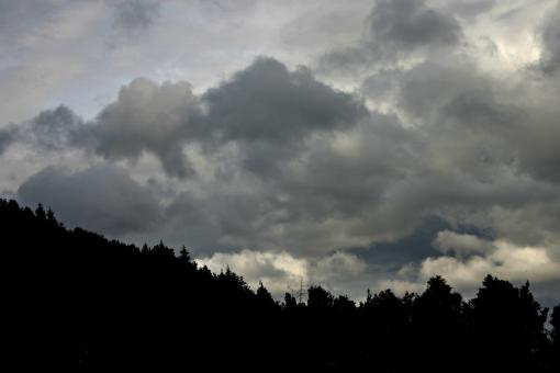 Free Stock Photo of Trees agains a cloudy sky