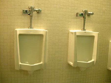 Free Stock Photo of Toilet
