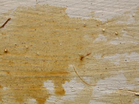 Free Stock Photo of Yellow concrete texture