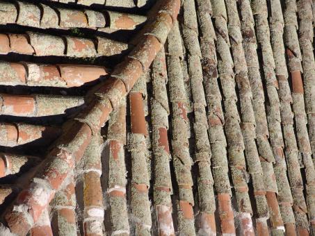 Free Stock Photo of Roof tiles