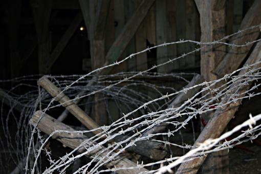 Free Stock Photo of Barbed wire