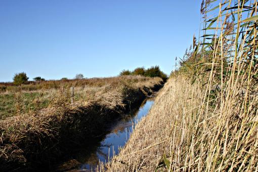 Free Stock Photo of Ditch