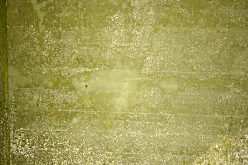 Free Stock Photo of Green dirty wall