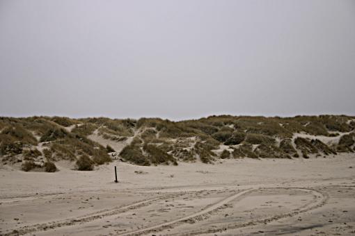 Free Stock Photo of Sand dunes