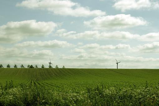 Free Stock Photo of Green field