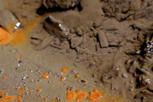 Free Stock Photo of Muddy water
