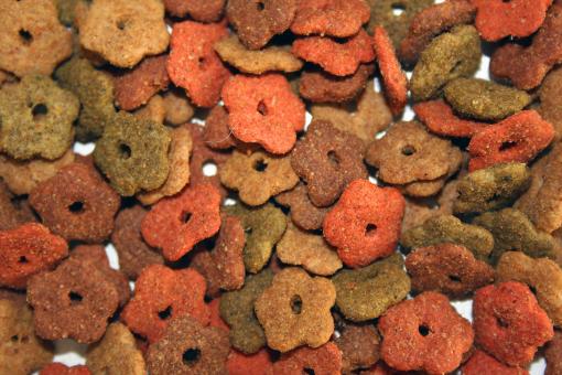 Free Stock Photo of Cat food