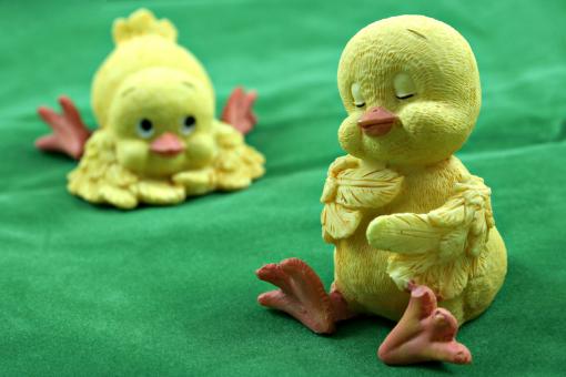 Free Stock Photo of easter chicks