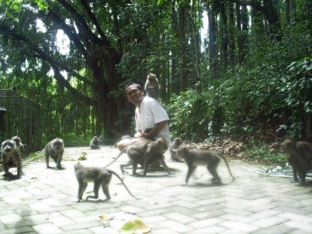 Free Stock Photo of Posing with the apes