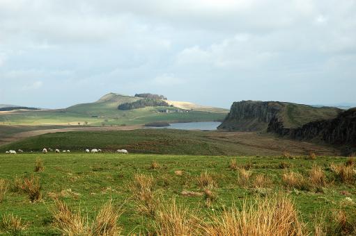 Free Stock Photo of Northumberland