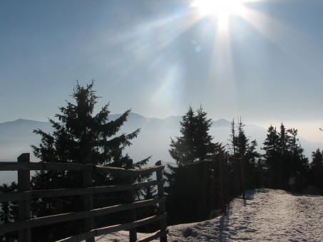 Free Stock Photo of Sunny winter day