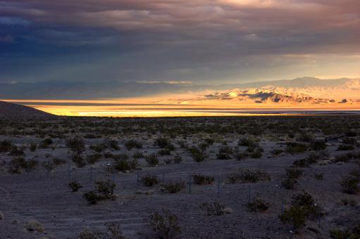 Free Stock Photo of Nevada Desert
