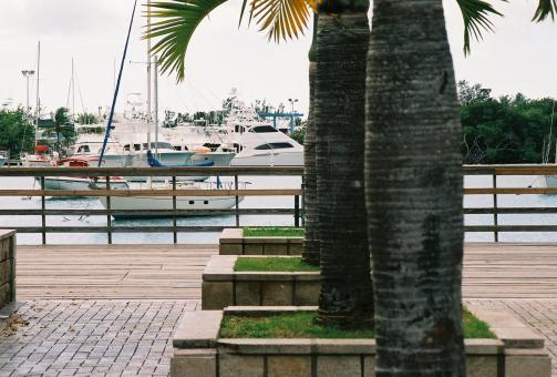 Free Stock Photo of Walkway by the sea