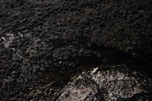 Free Stock Photo of Wet rocks