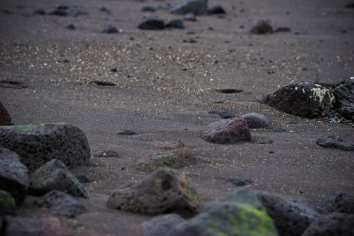 Free Stock Photo of Bed of rocks
