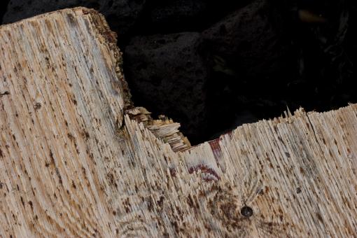Free Stock Photo of Broken wood plate