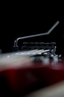 Free Stock Photo of Floyd rose