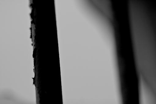 Free Stock Photo of Rusted bars
