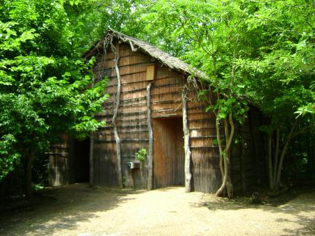 Free Stock Photo of Hut in the Woods