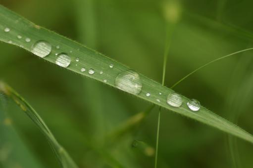 Free Stock Photo of Droplets